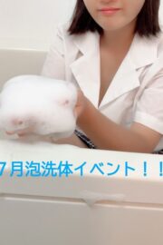 かりん