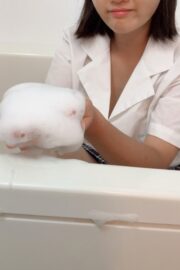 かりん